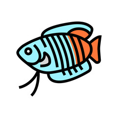 gourami fish color icon vector. gourami fish sign. isolated symbol illustration