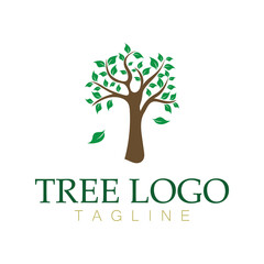 Obraz premium Tree logo icon vector illustration design.Vector silhouette of a tree templates of tree logo and roots tree of life design illustration