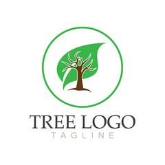 Obraz premium Tree logo icon vector illustration design.Vector silhouette of a tree templates of tree logo and roots tree of life design illustration