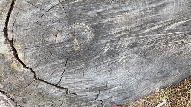 texture