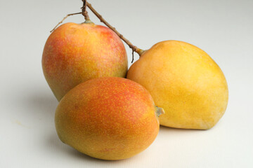 Mango fruits placed on a white background