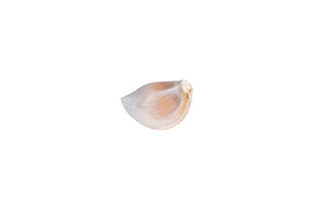 Garlic in the white background 