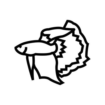 recommend clip art: betta fish line icon vector. betta fish sign. isolated contour symbol black illustration