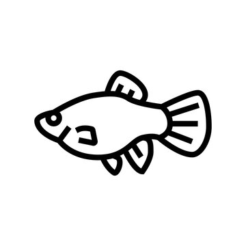 recommend clip art: platy fish line icon vector. platy fish sign. isolated contour symbol black illustration