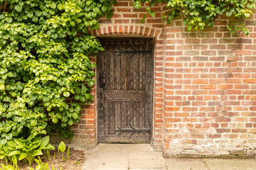 rustic brown detailed door of a brick building covered in climbing ivy