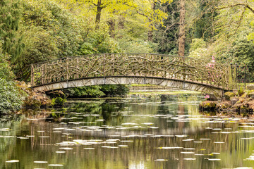 ornate bridge over a tranquil pond, reflections, green space,  