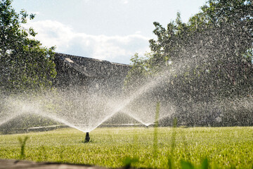 Backyard Watering Technology for green lawn. Automatic Garden Sprinkler. 