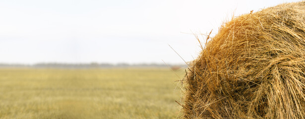 Haystack on the field. Harvest concept. Banner
