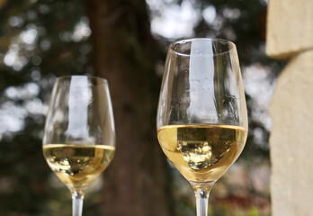 Close-up with glasses of white wine in natural environment