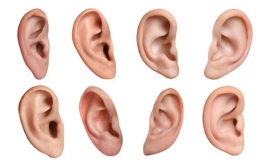 Human ears on white background, collage. Organ of hearing and balance - obrazy, fototapety, plakaty
