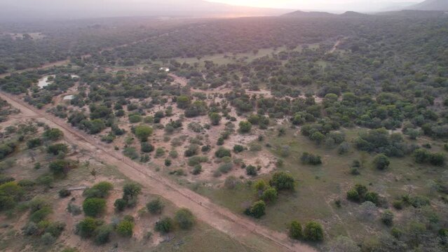 dirt road crosses through remote landscape in african savannah. Aerial tilt up, sunset