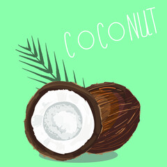 Vector illustration of a half coconut and a whole fruit, with a green palm branch. Lettering coconut.