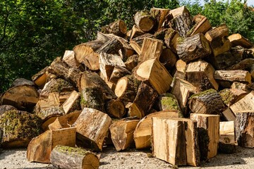 Preparing for the winter heating season. Huge pile of stumps is unloaded on roadway in village. Close-up. Oak firewood for wood-burning stove is sawn from dry fallen trees.