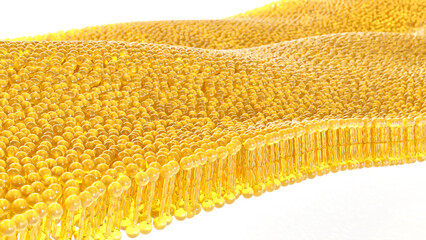 3D rendering lipid bi-layer cell anatomy - 3D Rendering