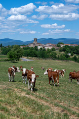 Fototapeta na wymiar Paysage pittoresque et rural des montagnes d'Auvergne dans le département du Puy-de-Dôme au printemps en France autour du village de Augerolles