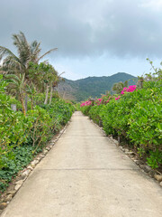 Fototapeta na wymiar Villa path way at the tropical resort