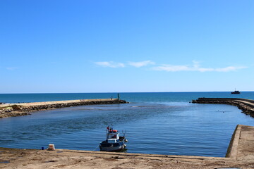 Mare