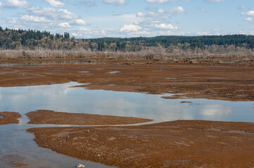 Closer shot of Pond and Mount Rainier, Billy Frank Jr. Nisqually National Wildlife Refuge, WA, USA