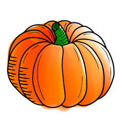 Vector pumpkin in watercolor style with black contour