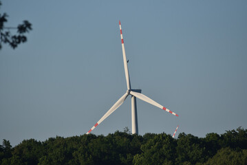 wind turbine protruding from behind the forest, hawk around summer