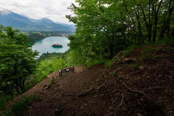 lake and mountains with forest and bench in foreground
