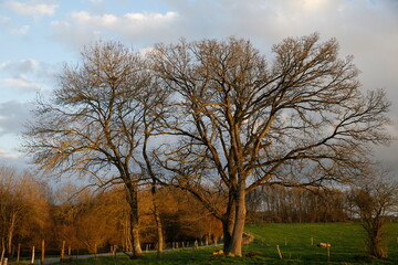 Normandy landscape. France. 12.06.2017