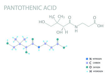 Pantothenic acid molecular skeletal 3D chemical formula.	
