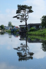 river with boat houses and an tree