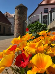 old castle street view with flowers