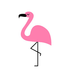 Flamingo isolated on white background. Vector illustration