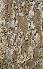 Weathered stone surface