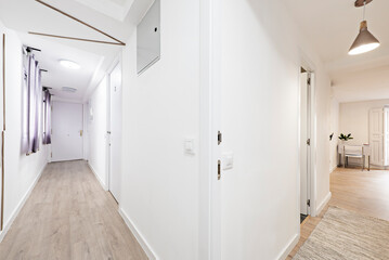 Distributor hallway with brown wooden floor, white wooden doors and access to several rooms