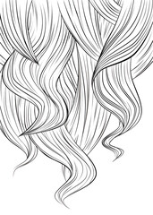 illustration - abstract long hair background