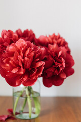 red peonies in a vase on the wooden  table