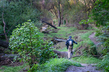 Man walking Tangoio Walkway, Hawke’s Bay.