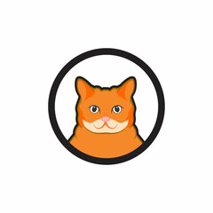 orange cat illustration