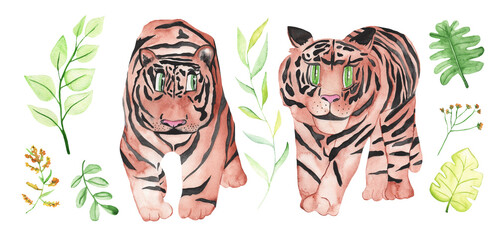 Set of watercolor leaves,yellow flowers and cartoon tiger . Design elements for patterns, wreath, laurels and compositions, greeting cards, wedding invitations. Real watercolor painting.