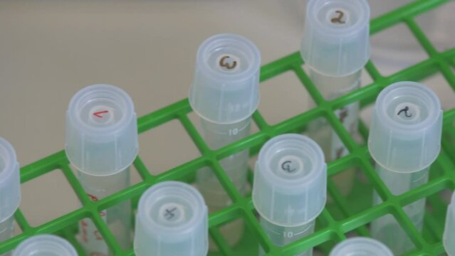 Scientific Specimen Holder With Numbered Vials. High Angle View.