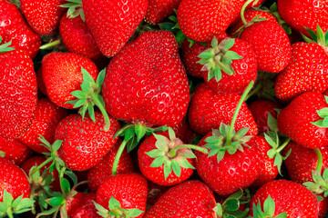strawberries close up, used as a background
