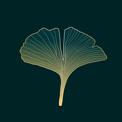 Ginkgo leaf digital drawing
