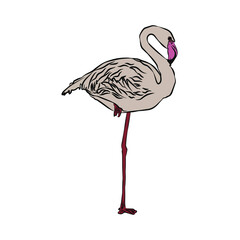 Naklejka premium Beautiful flamingo, so cute