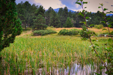 Etangs des Estagnols