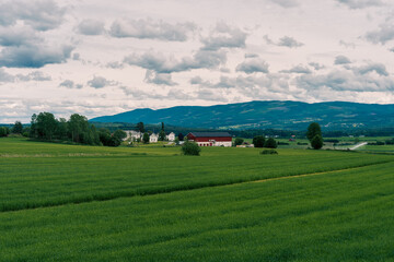 Fototapeta na wymiar Summer clouds over the fields of Toten, Norway