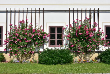 castle Velke Losiny in Czech republic