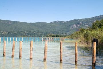 Roselières au lac d'Aiguebelette