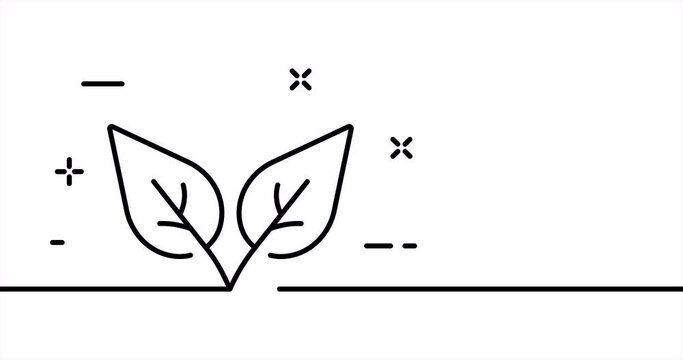Leaves. Leaf, plant, biosphere, nature, produce oxygen, save the planet, green, clean environment. Ecology concept. One line drawing animation. Motion design. Animated technology logo. Video 4K