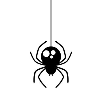 Black spider hanging with cobweb flat vector design.