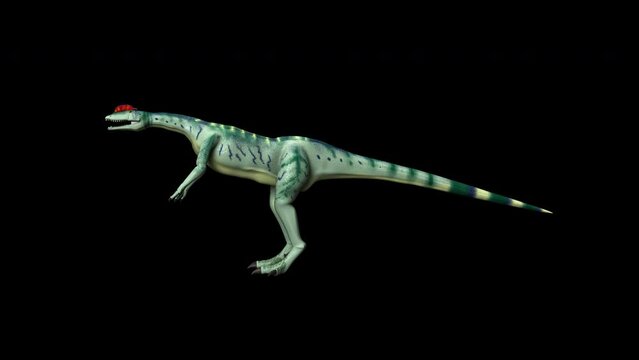  Dilophosaurus 4k animation.4K 3840&times;2160.10 Second Long.LOOP.