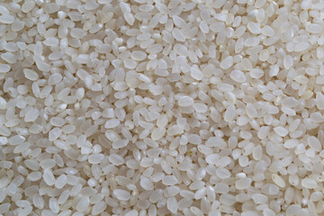 white rice texture background, close up shot of the rice background
