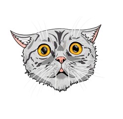 Sticker of scary cat with yellow eyes. He is very cute.